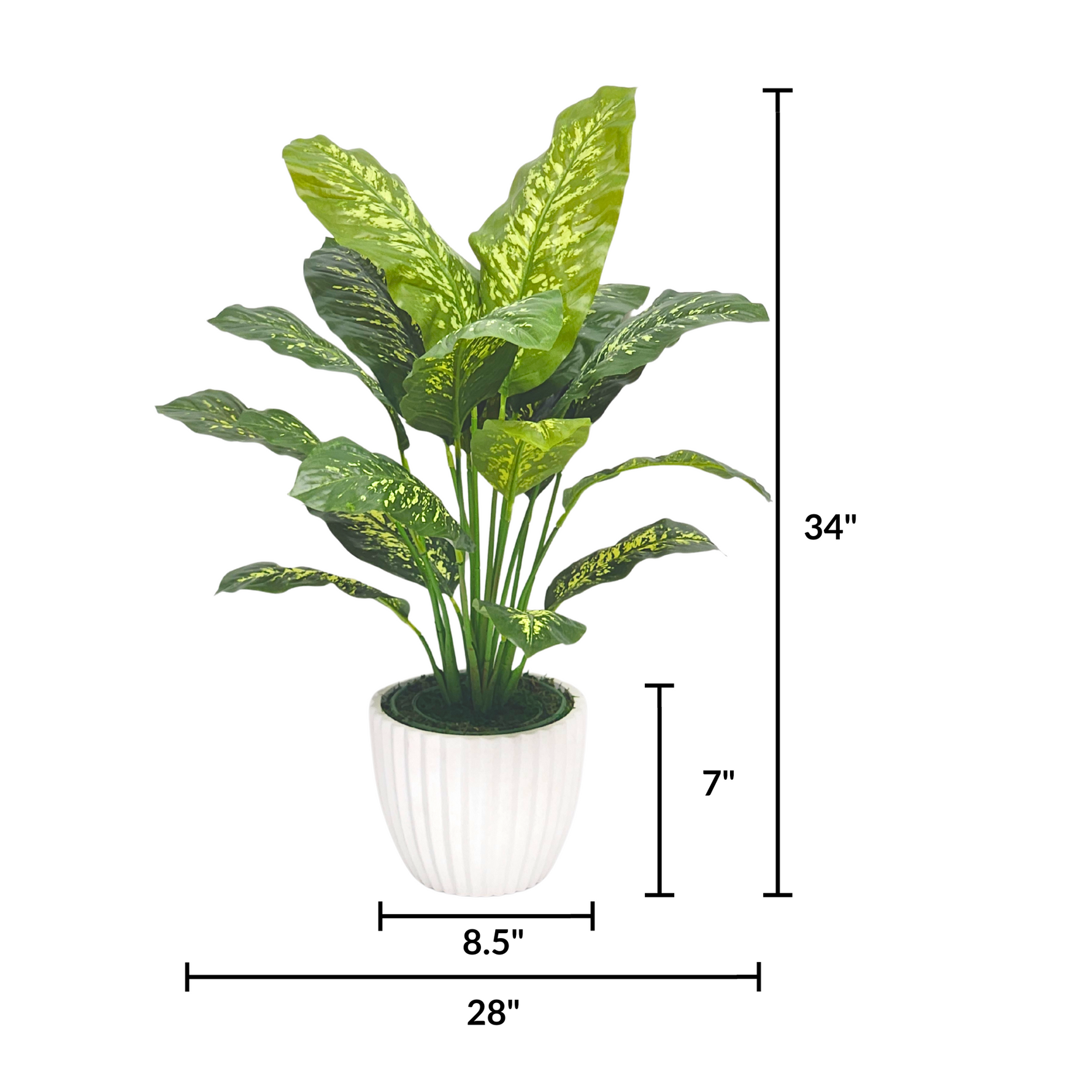 Spathphyllum in Stone White Ceramic by House of Silk Flowers with measurements