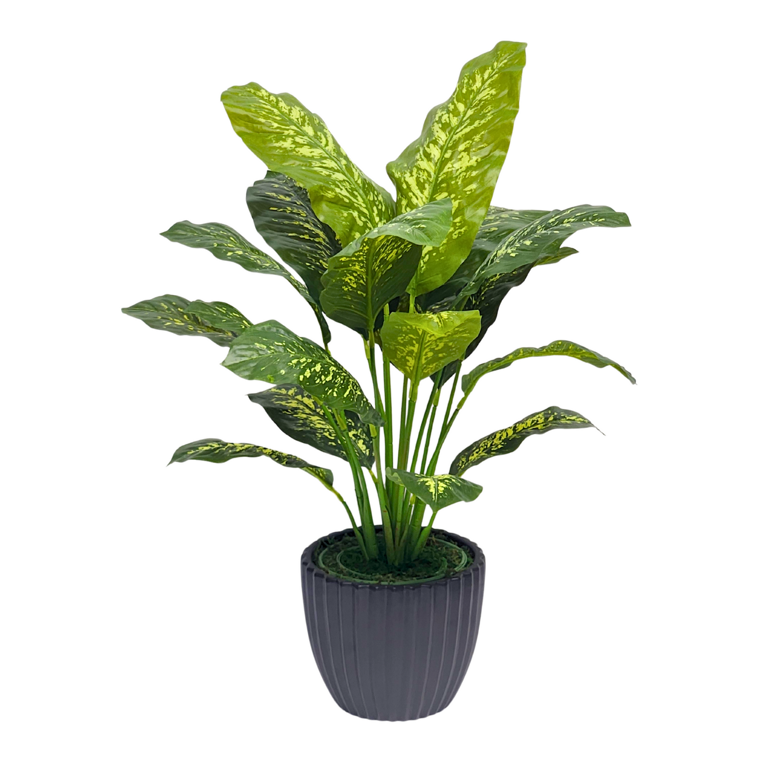 Spathphyllum in Matte Black Ceramic by House of Silk Flowers