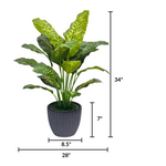 Spathphyllum in Matte Black Ceramic by House of Silk Flowers measurements