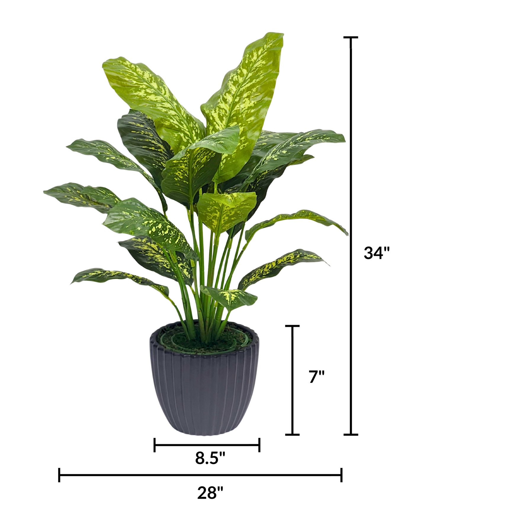 Spathphyllum in Matte Black Ceramic by House of Silk Flowers measurements