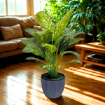 Spathphyllum in Glossy Black Ceramic by House of Silk Flowers environment
