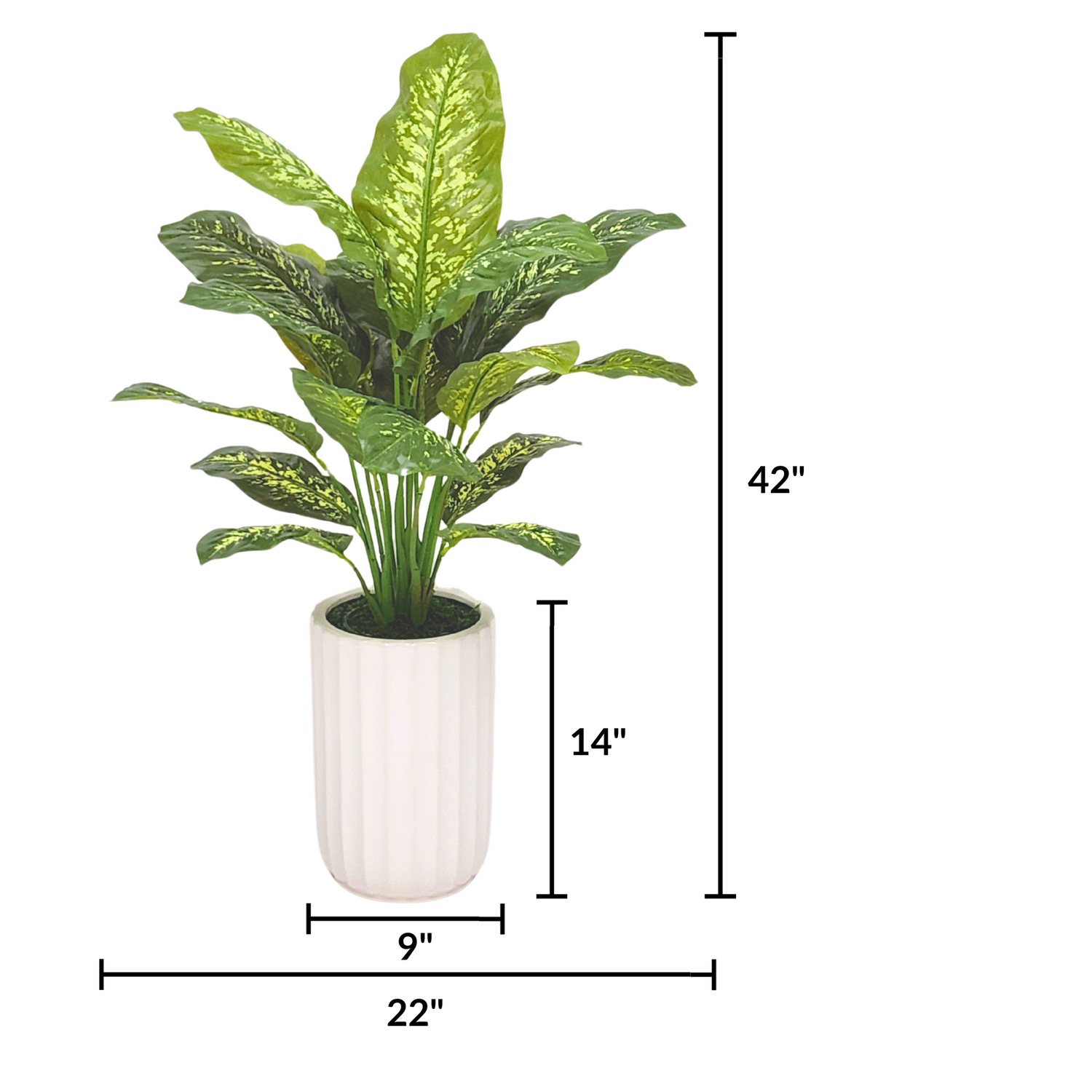 Spathphyllum in GlossyWhite Ceramic Cylinder by House of Silk Flowers measurements