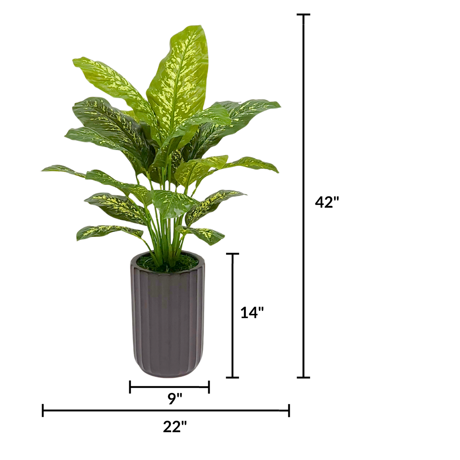 Spathphyllum in Matte Black Ceramic Cylinder by House of Silk Flowers measurements