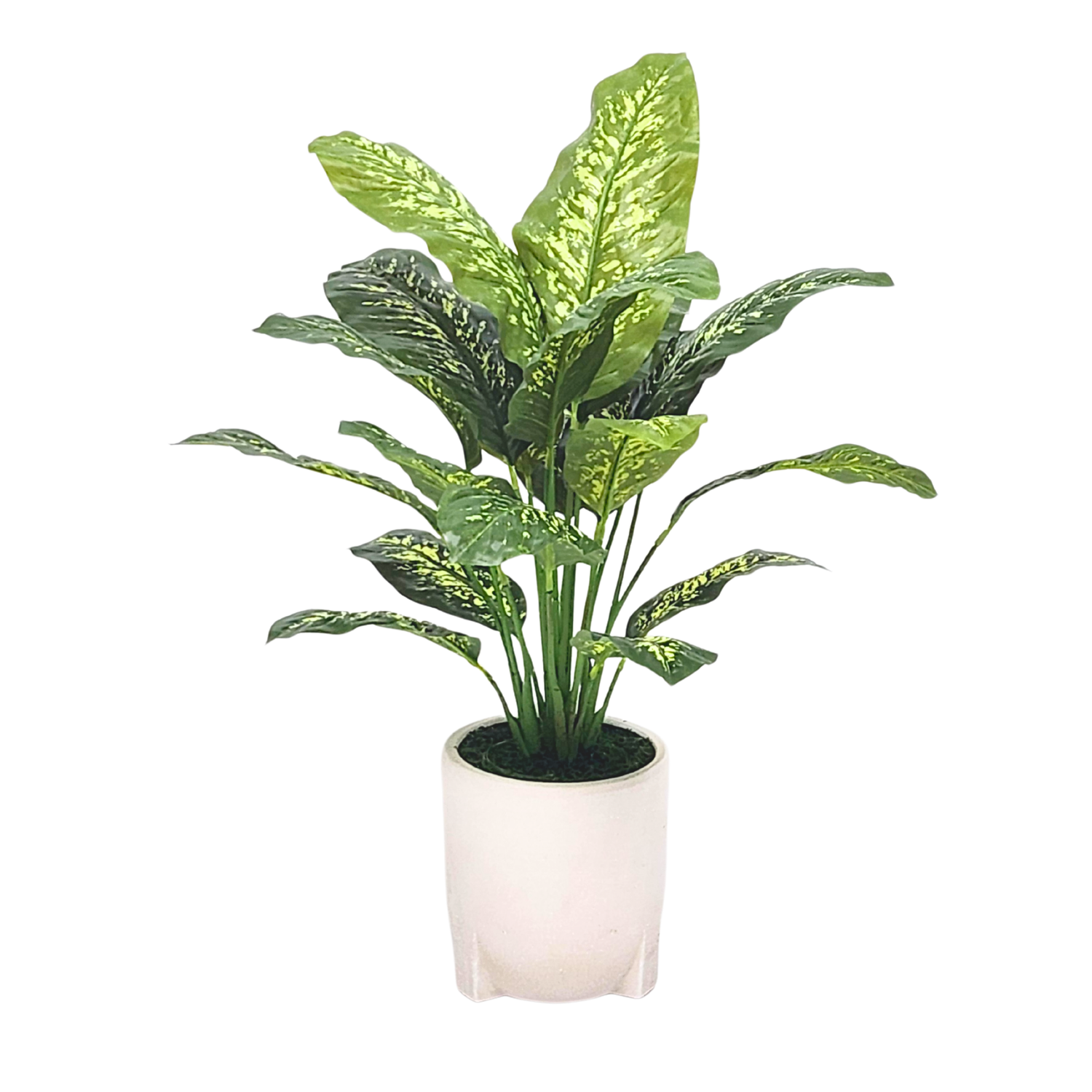 Spathphyllum in Stone White Ceramic Tripod by House of Silk Flowers 