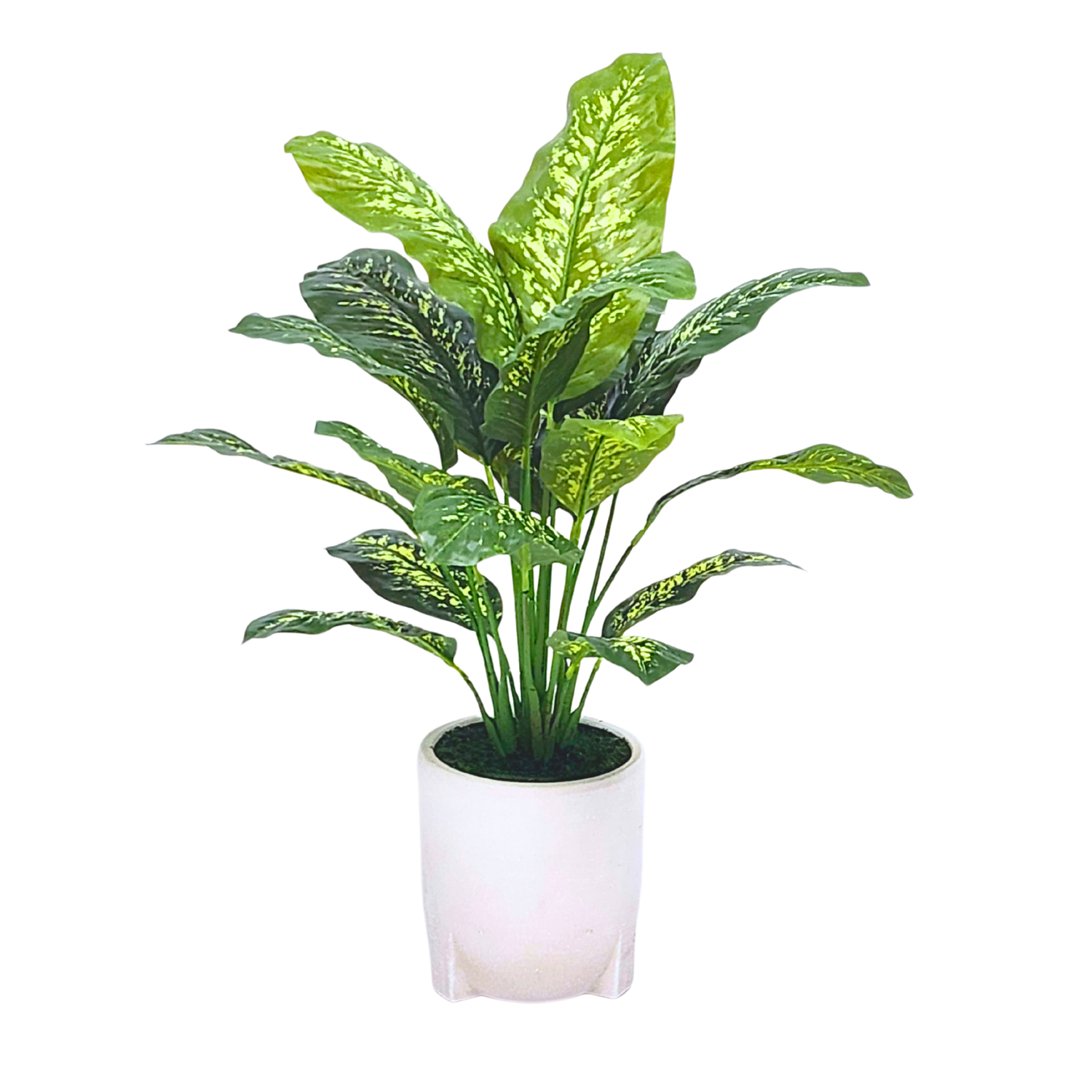 Spathphyllum in Stone white tripod ceramic by House of Silk Flowers