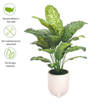 Spathphyllum in Stone White Ceramic Tripod by House of Silk Flowers details