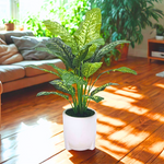 Spathphyllum in stone white tripod ceramic by House of Silk Flowers