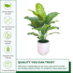 Spathphyllum in white tripod ceramic by House of Silk Flowers Quality 