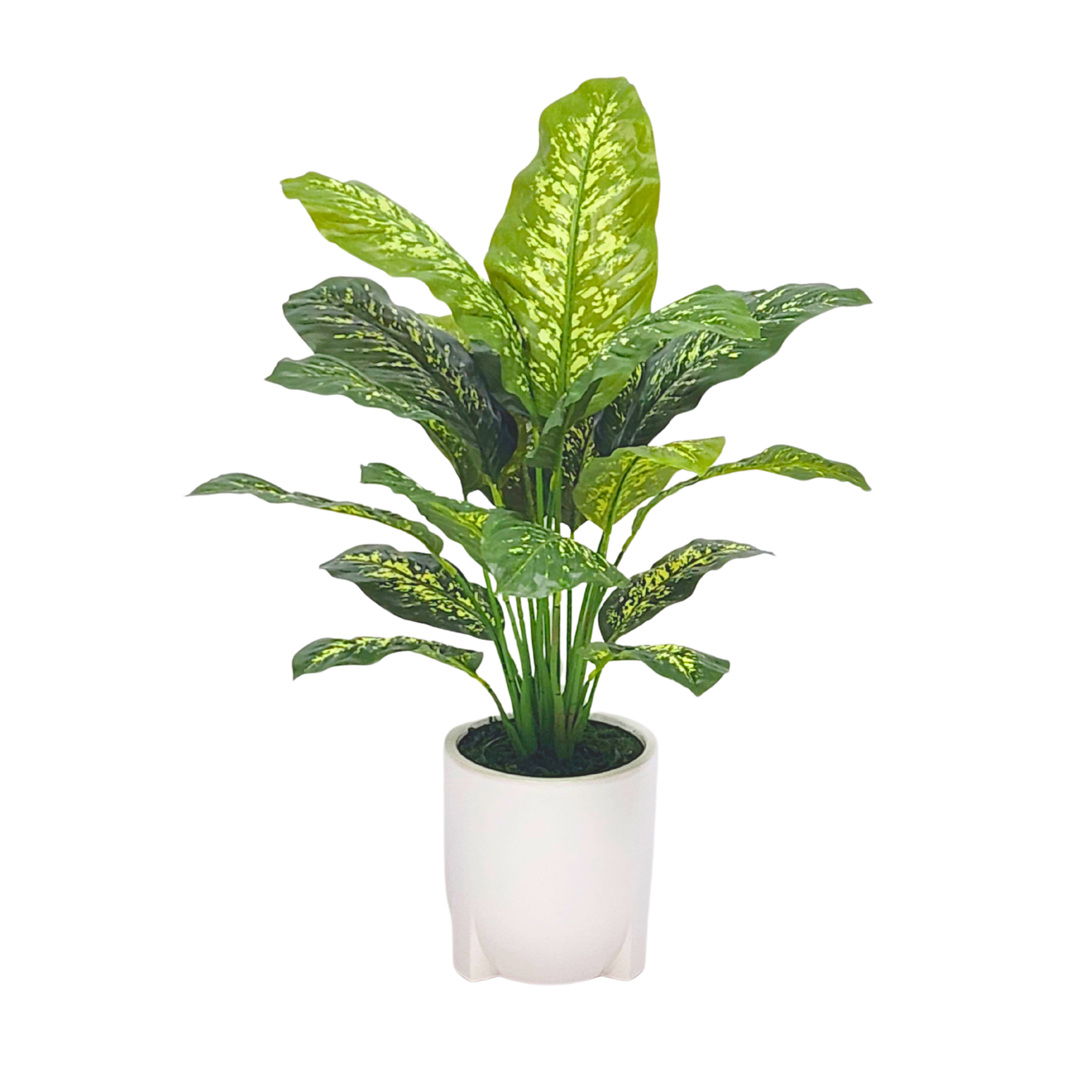 Spathphyllum in Glossy White Ceramic Tripod by House of Silk Flowers 