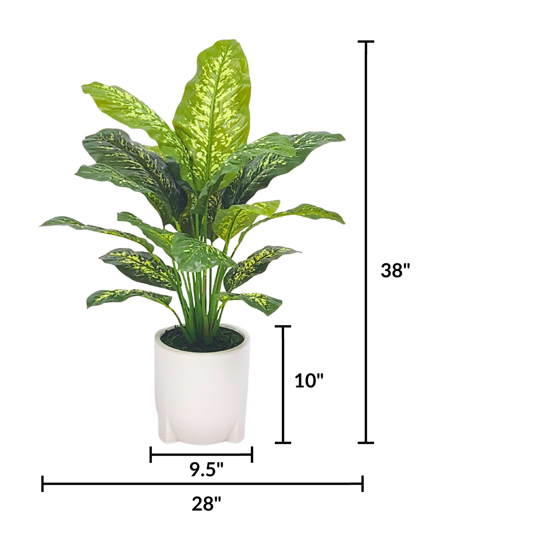 Spathphyllum in Glossy White Ceramic Tripod by House of Silk Flowers measurements