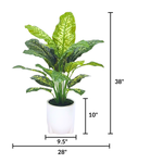 Spathphyllum in Glossy White Ceramic Tripod by House of Silk Flowers measurements