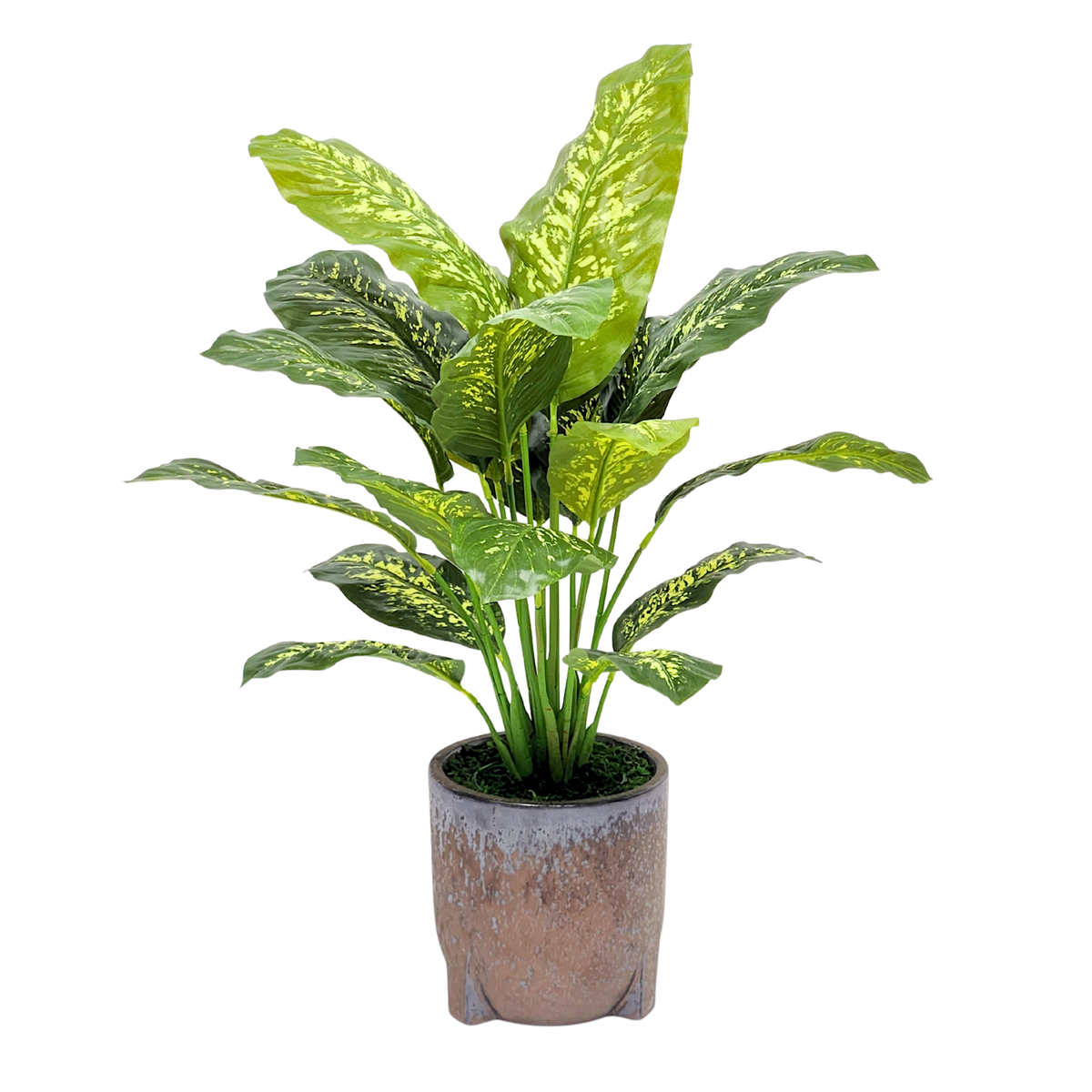 Spathphyllum in Snow Black Ceramic Tripod by House of Silk Flowers 