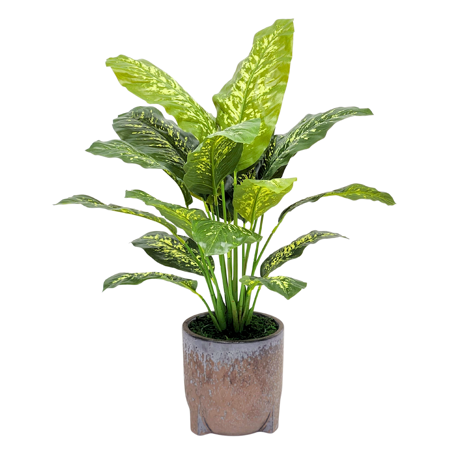 Spathphyllum in Snow Black Ceramic Tripod by House of Silk Flowers 