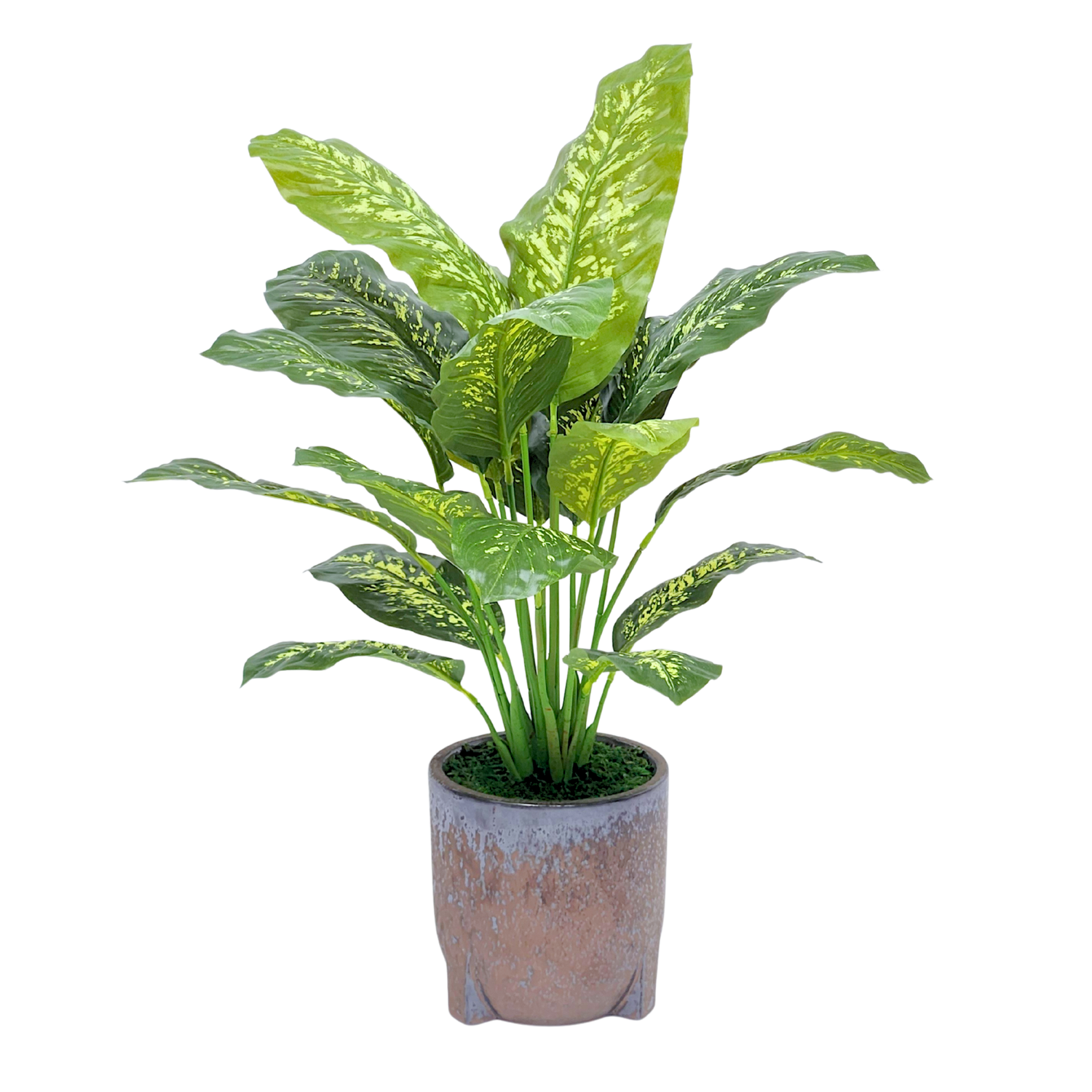 Spathphyllum in Snow Black Tripod Ceramic by House of Silk Flowers