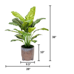 Spathphyllum in Snow Black Ceramic Tripod by House of Silk Flowers measurements