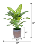 Spathphyllum in Snow Black Tripod Ceramic by House of Silk Flowers measurements