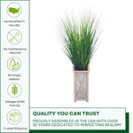 Grass in white wood/metal planter by House of Silk Flowers details