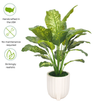 Spathphyllum in Glossy White Ribbed Ceramic Tripod by House of Silk Flowers details