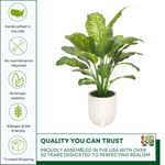 Spathphyllum in Glossy White Ribbed Ceramic Tripod by House of Silk Flowers details