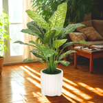Spathphyllum in Glossy White Ribbed Ceramic Tripod by House of Silk Flowers environment