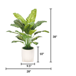 Spathphyllum in Glossy White Ribbed Ceramic Tripod by House of Silk Flowers measurements