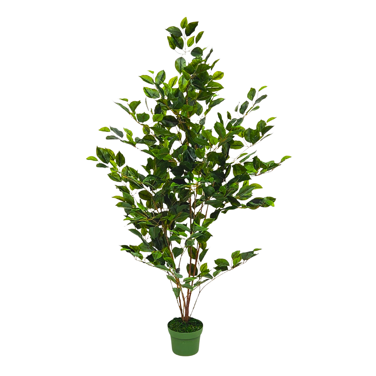 4FT Faux Ficus in green nursery pot by House of Silk Flowers
