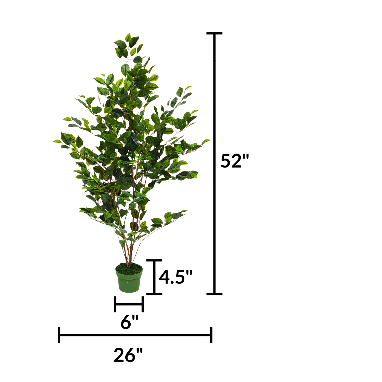4FT Faux Ficus in green nursery pot with measurements by House of Silk Flowers
