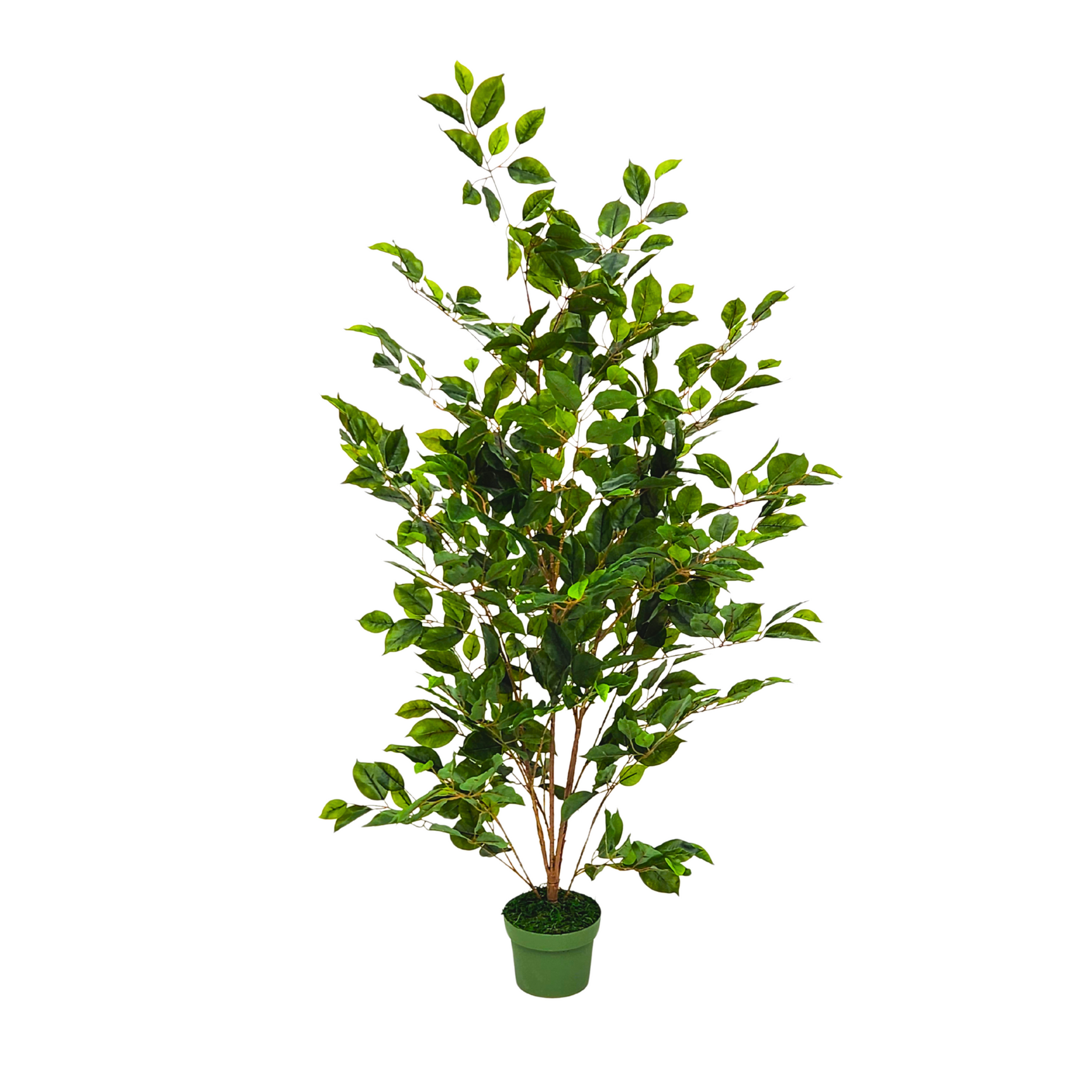 4FT Faux Ficus in green nursery pot by House of Silk Flowers