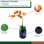 Artificial Orange Orchid in a glossy black ceramic pot on a white background, including product features, by House of Silk Flowers.
