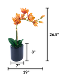 Artificial Orange Orchid in a glossy black ceramic pot on a white background, featuring product measurements, by House of Silk Flowers.
