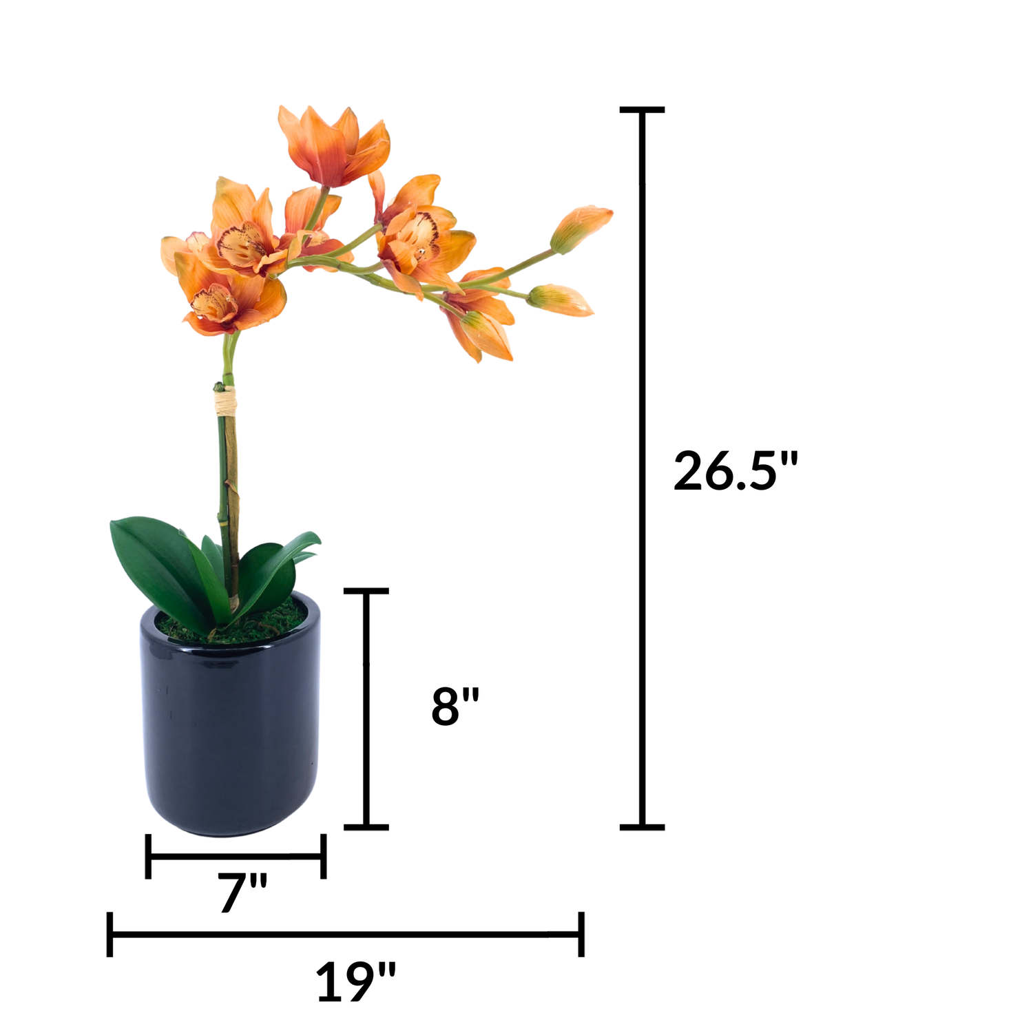 Artificial Orange Orchid in a glossy black ceramic pot on a white background, featuring product measurements, by House of Silk Flowers.