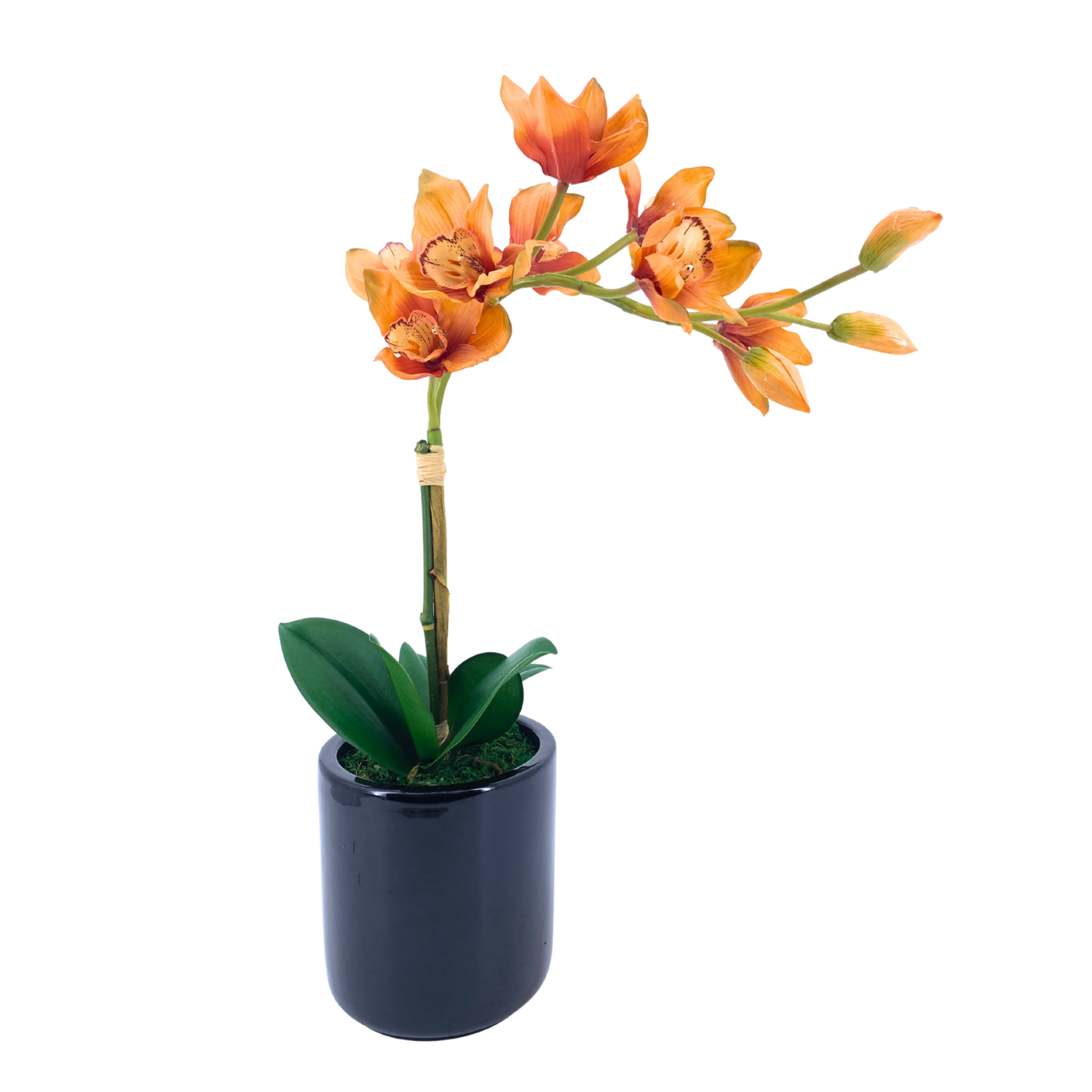 Artificial Orange Orchid in a glossy black ceramic pot on a white background, by House of Silk Flowers.