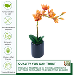 Artificial Orange Orchid in a glossy black ceramic pot on a white background, featuring quality assurances, by House of Silk Flowers.