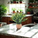 Faux eucalyptus in pink crackled ceramic on a kitchen countertop, by House of Silk Flowers.