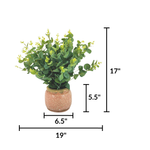 Faux eucalyptus in pink crackled ceramic against a white background, featuring measurements, by House of Silk Flowers.