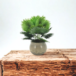 Faux fan palm arrangement in round gray ceramic on a wooden table, by House of Silk Flowers.