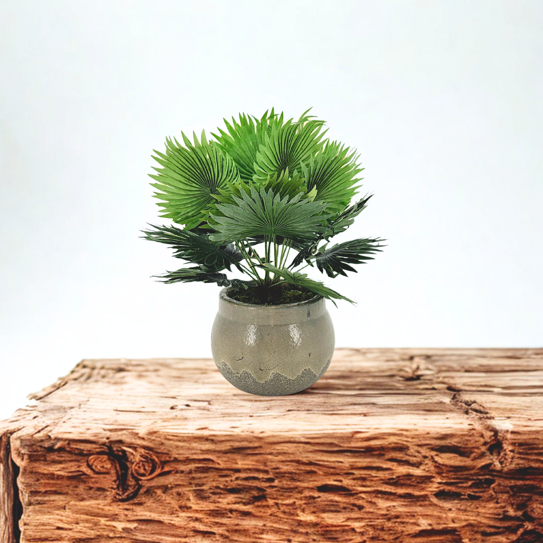 Faux fan palm arrangement in round gray ceramic on a wooden table, by House of Silk Flowers.