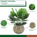 Faux fan palm arrangement in round gray ceramic against a white background, highlighting product features, by House of Silk Flowers.