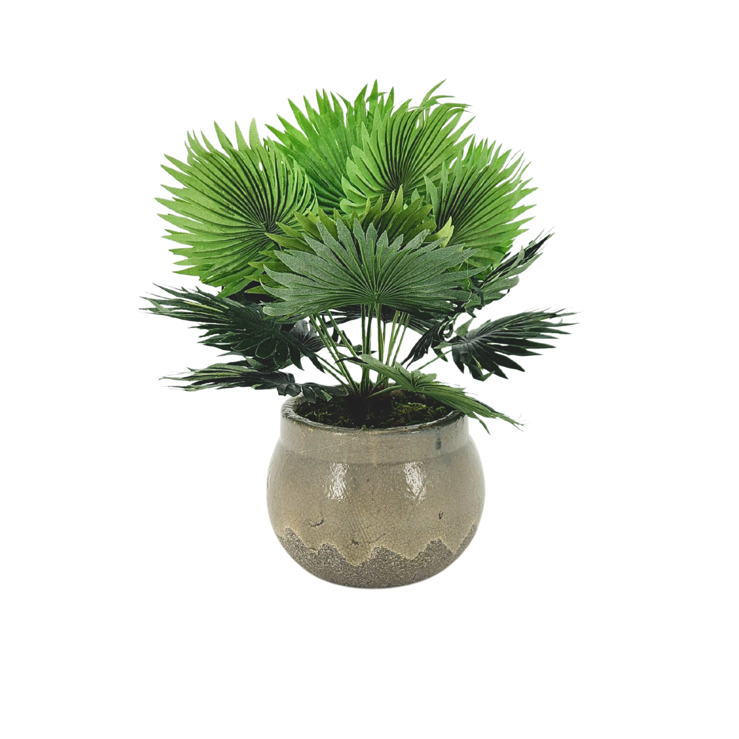 Faux fan palm arrangement in round gray ceramic against a white background, by House of Silk Flowers.