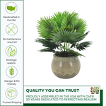 Faux fan palm arrangement in round gray ceramic against a white background, featuring quality assurances, by House of Silk Flowers.