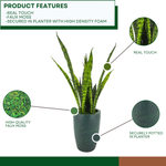 Faux variegated snake plant in gator green planter against a white background, highlighting product features, by House of Silk Flowers.