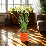 Faux narcissus arrangement in glossy orange ceramic on a living room floor, by House of Silk Flowers.