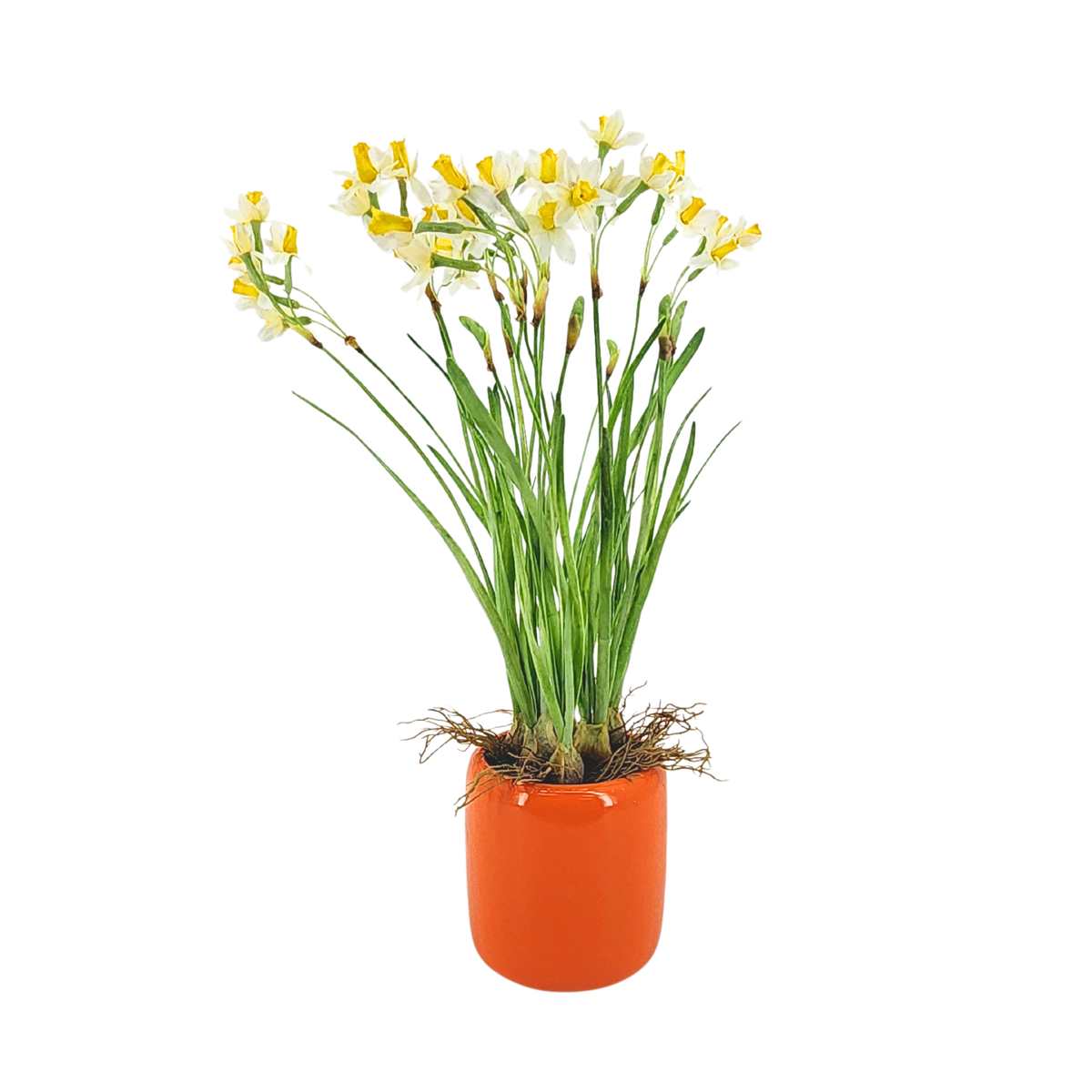 Faux narcissus arrangement in glossy orange ceramic against a white background, by House of Silk Flowers.