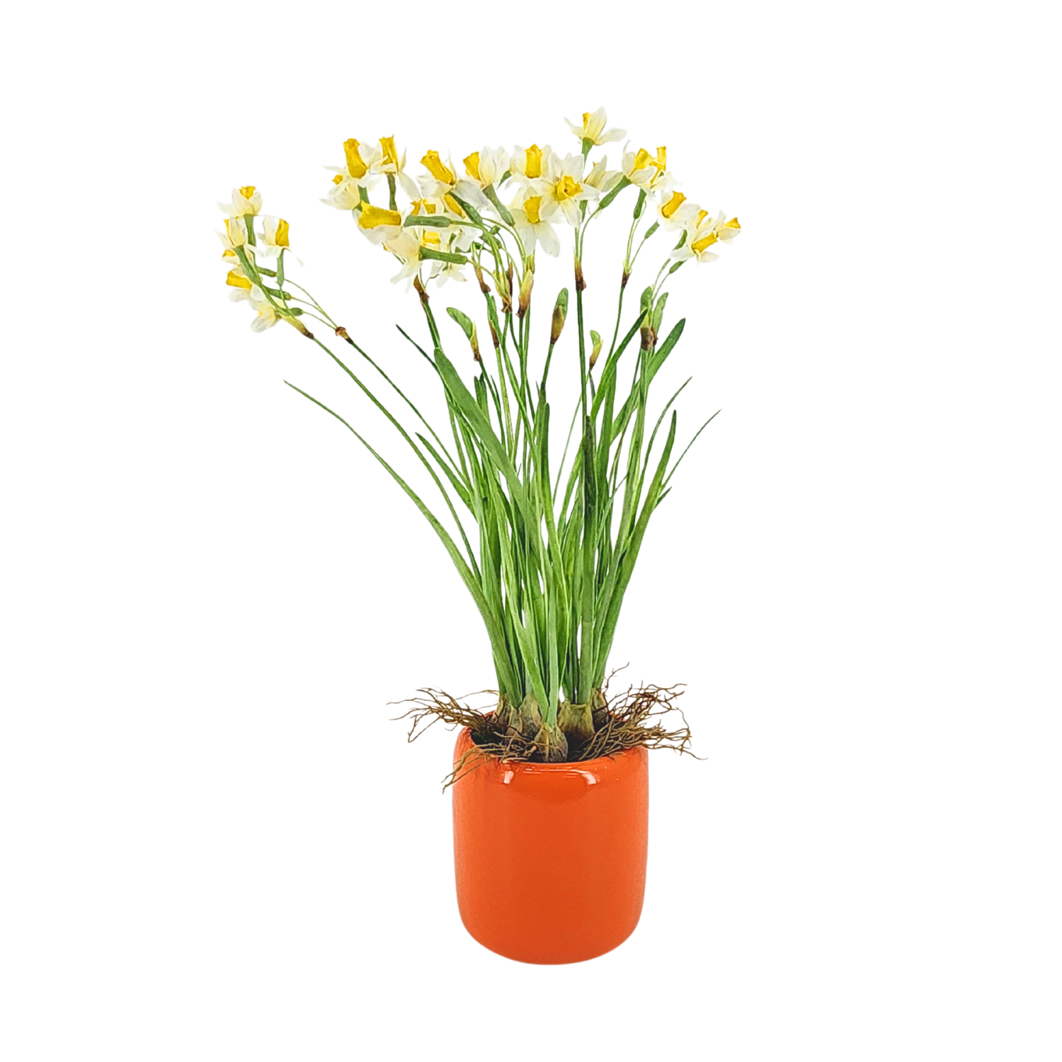 Faux narcissus arrangement in glossy orange ceramic against a white background, by House of Silk Flowers.