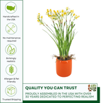 Faux narcissus arrangement in glossy orange ceramic against a white background, featuring quality assurances, by House of Silk Flowers.