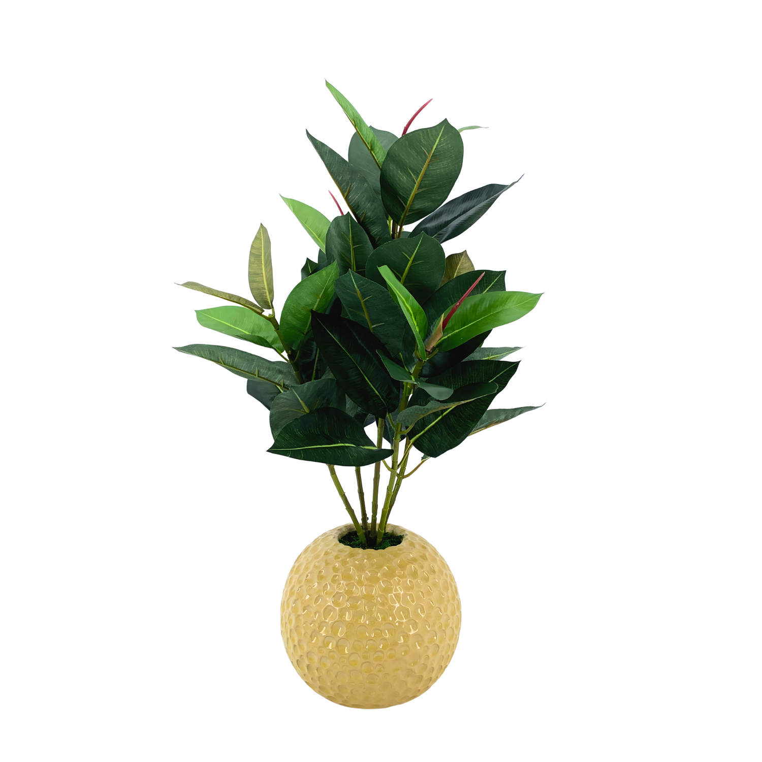 Faux Rubber Plant in Dimpled Spherical Ceramic