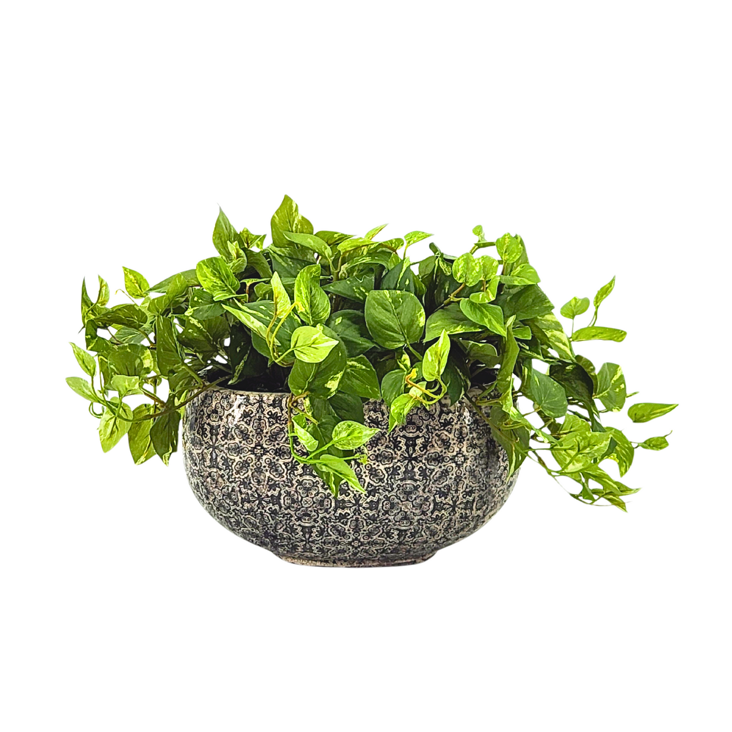 Faux Pothos in grey print pot by House of Silk Flowers