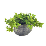 Faux Pothos in grey print pot by House of Silk Flowers