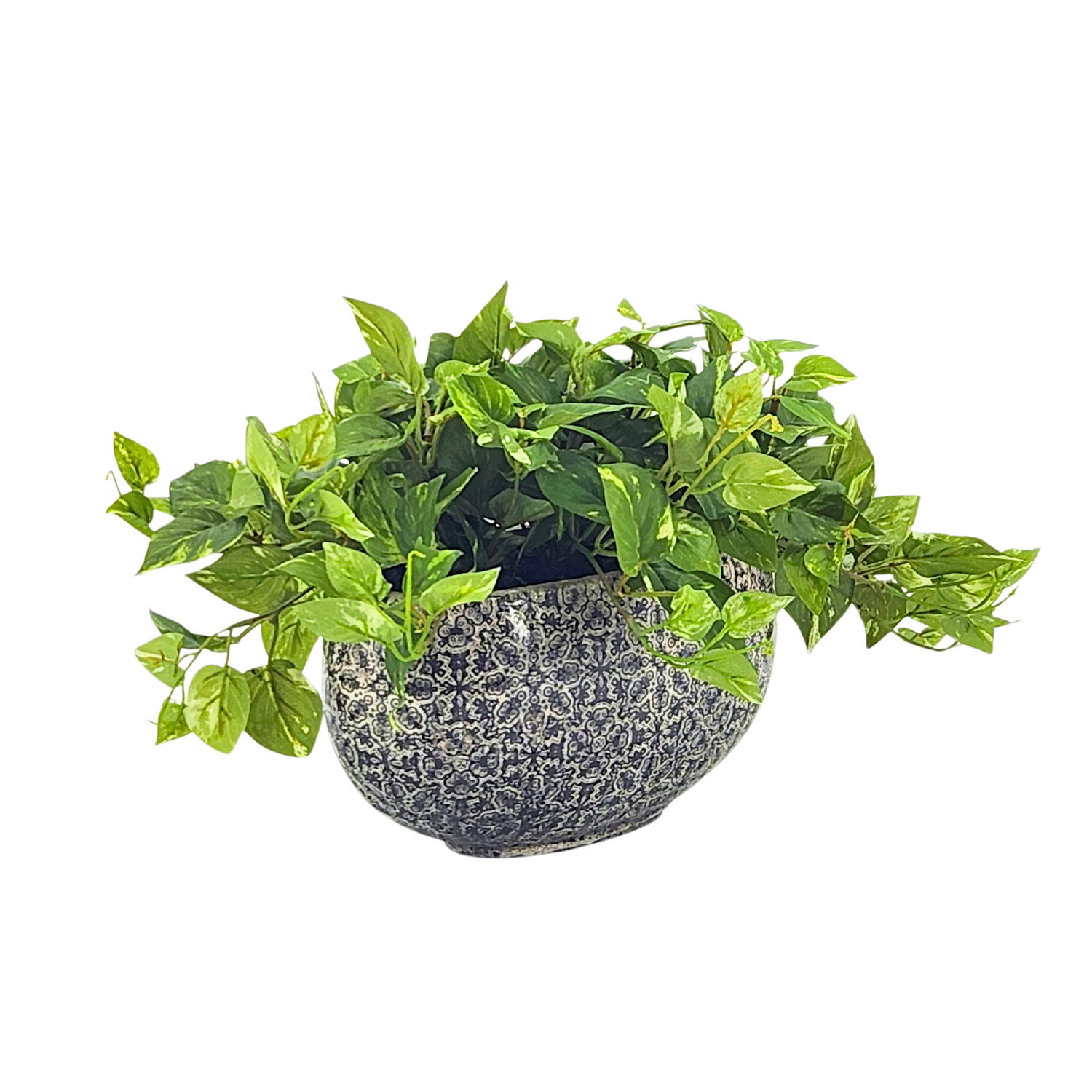 Faux Pothos in grey print pot by House of Silk Flowers