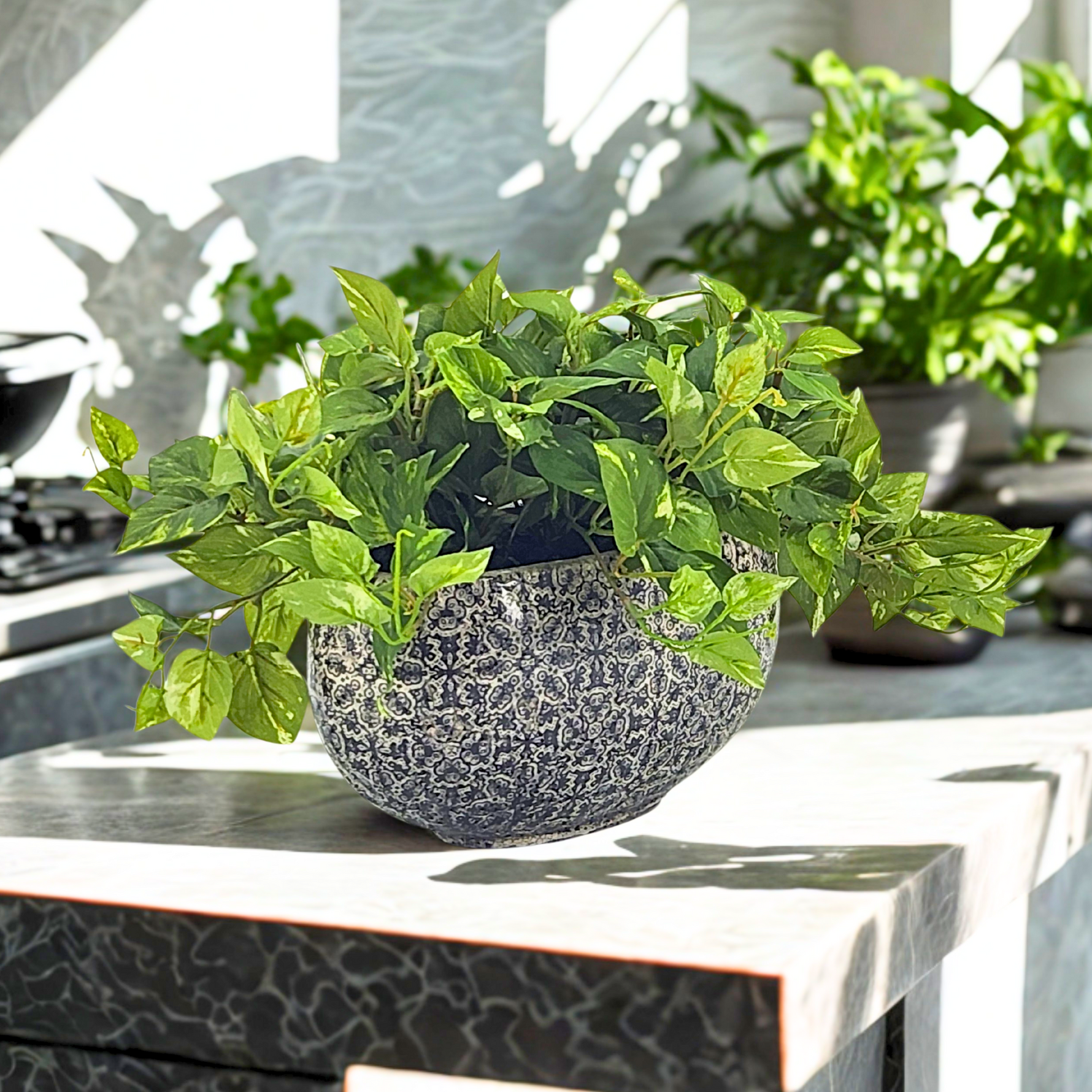 Faux Pothos in grey print pot by House of Silk Flowers environment